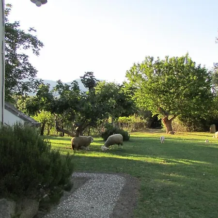 Borgo Madonna Degli Angeli - Charming In The Gardens ! Tocco da Casauria