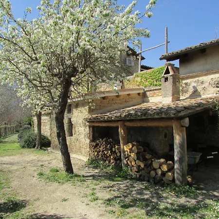 Borgo Madonna Degli Angeli - Charming In The Gardens ! Tocco da Casauria
