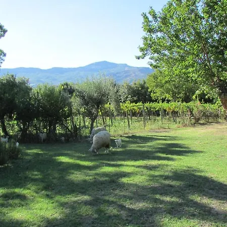 Borgo Madonna Degli Angeli - Charming In The Gardens ! Alloggio per agriturismo