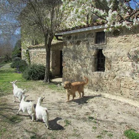 Borgo Madonna Degli Angeli - Charming In The Gardens ! Alloggio per agriturismo