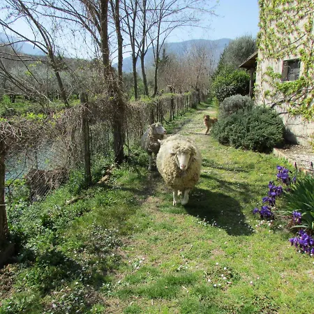 Borgo Madonna Degli Angeli - Charming In The Gardens ! *