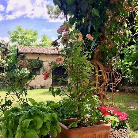 Borgo Madonna Degli Angeli - Charming In The Gardens ! Tocco da Casauria