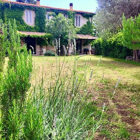 Borgo Madonna Degli Angeli - Charming In The Gardens ! Tocco da Casauria