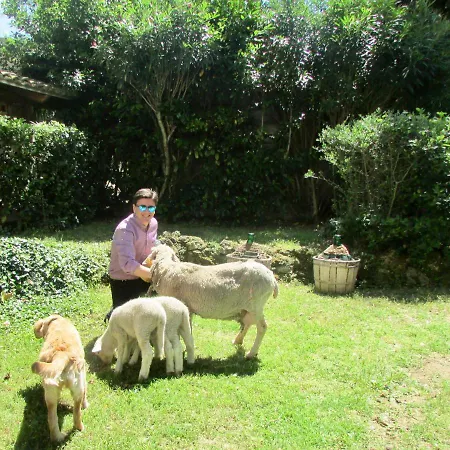 Borgo Madonna Degli Angeli - Charming In The Gardens !