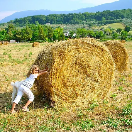 Séjour à la ferme 
